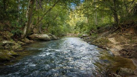 66 Woodland Trail Epworth GA 30541