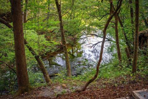 66 Woodland Trail Epworth GA 30541