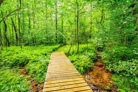 190 Still Road Clarkesville GA 30523
