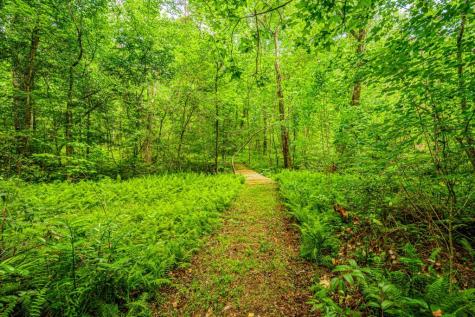 190 Still Road Clarkesville GA 30523