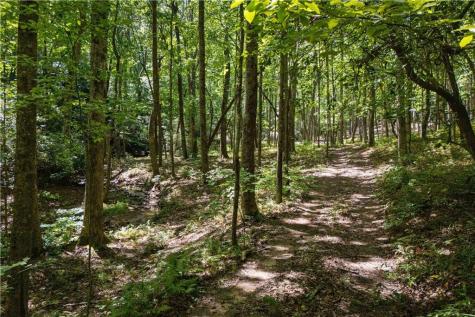 430 Sassafras Mountain Laurel Lane Jasper GA 30143