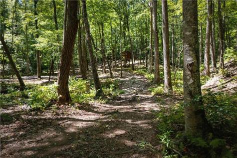 430 Sassafras Mountain Laurel Lane Jasper GA 30143