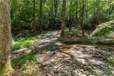 430 Sassafras Mountain Laurel Lane Jasper GA 30143