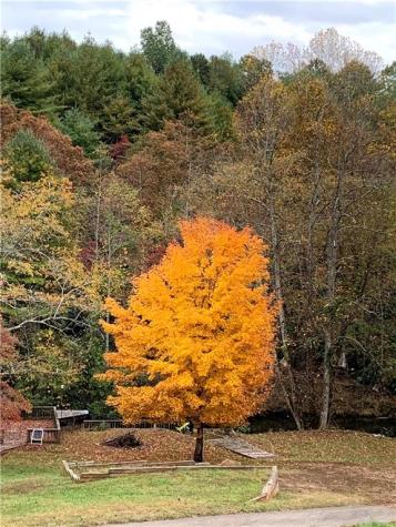 124 Candy Man Lane Dahlonega GA 30533