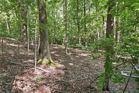 49 Little Beaver Run Big Canoe GA 30143