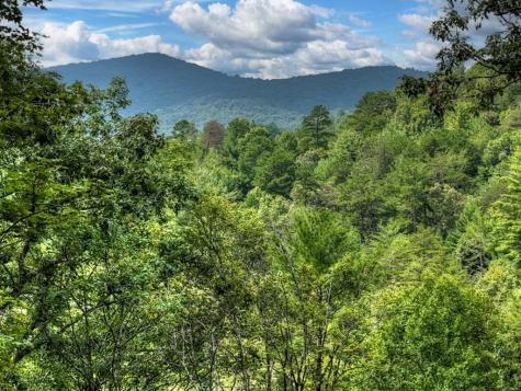 1821 Stanley Creek Road Cherry Log GA 30522