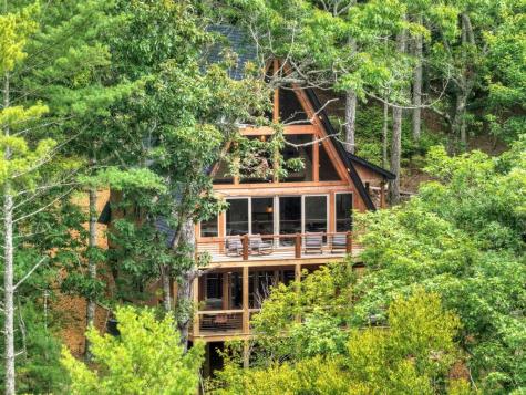 1821 Stanley Creek Road Cherry Log GA 30522