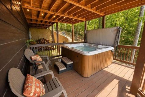 901 Stuart Mountain Road Mineral Bluff GA 30559