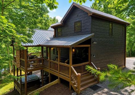 901 Stuart Mountain Road Mineral Bluff GA 30559