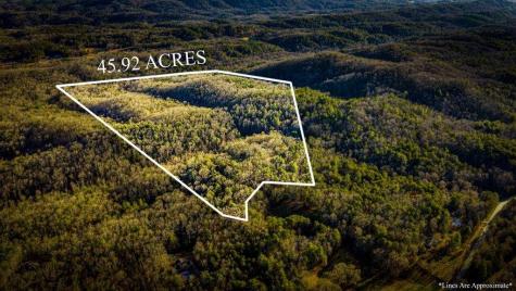 178 Arp Road Mineral Bluff GA 30559