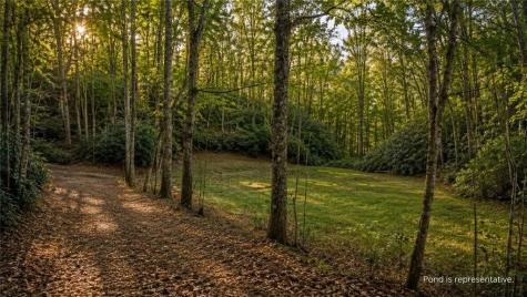 178 Arp Road Mineral Bluff GA 30559
