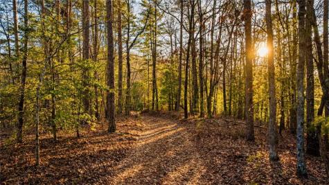 178 Arp Road Mineral Bluff GA 30559