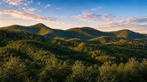 178 Arp Road Mineral Bluff GA 30559