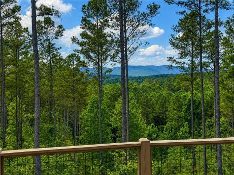 230 High River Landing Ellijay GA 30540
