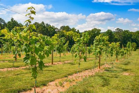 119 Inland Drive Talking Rock GA 30175