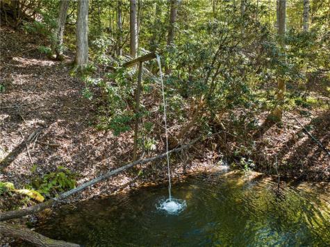 454 High Country Drive Morganton GA 30560