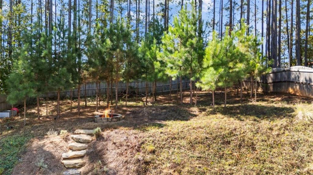 128 Floating Leaf Way Dallas GA 30132