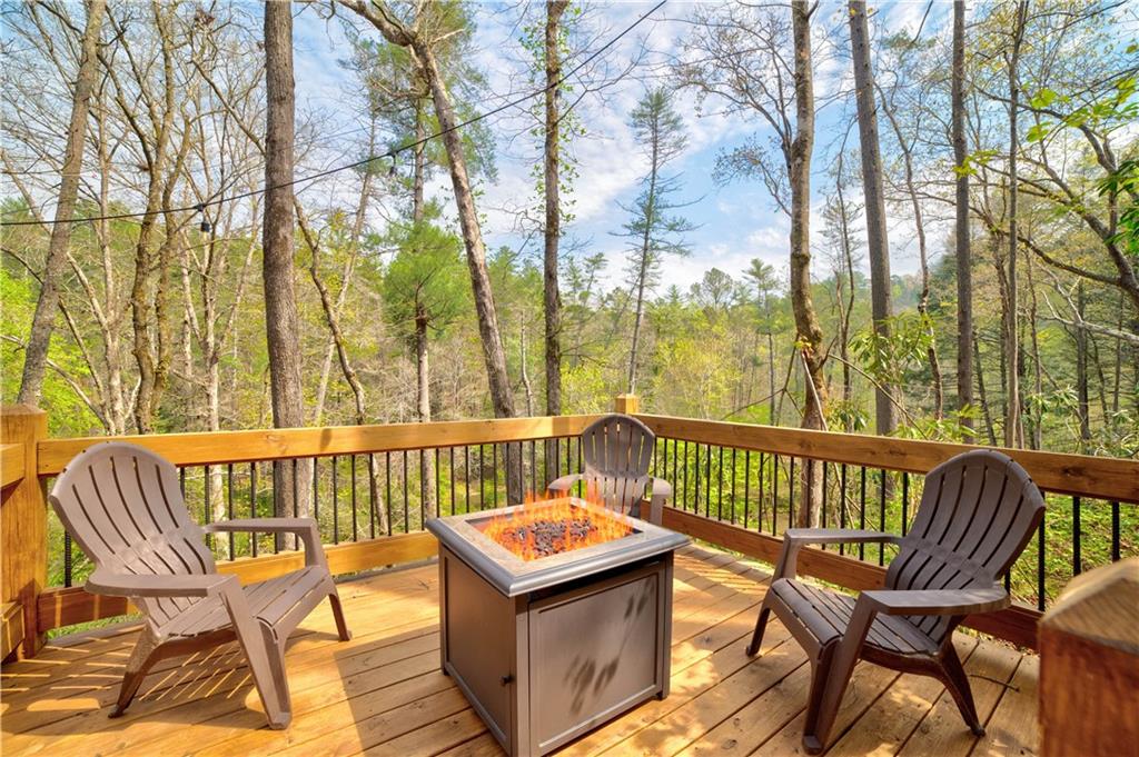 136 Gallery Court Ellijay GA 30540
