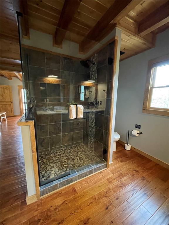 136 Gallery Court Ellijay GA 30540