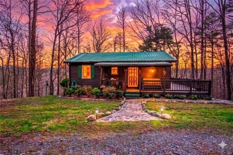 82 Dawgs Drive Mineral Bluff GA 30559