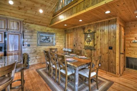 1404 Mountain High Drive Mineral Bluff GA 30559