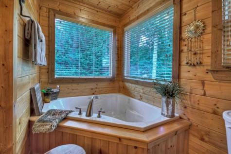 1404 Mountain High Drive Mineral Bluff GA 30559