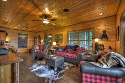 1404 Mountain High Drive Mineral Bluff GA 30559