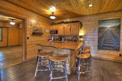 1404 Mountain High Drive Mineral Bluff GA 30559