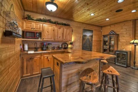 1404 Mountain High Drive Mineral Bluff GA 30559