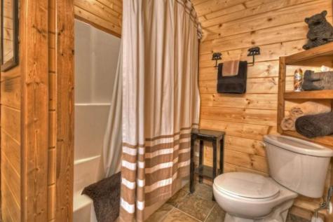 1404 Mountain High Drive Mineral Bluff GA 30559