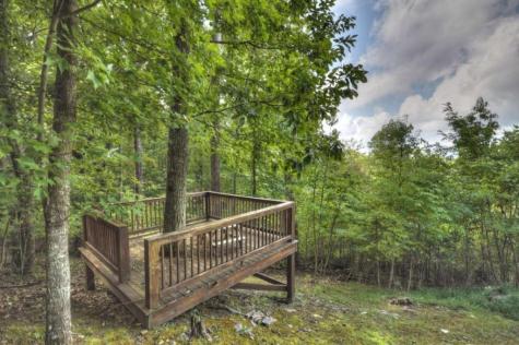 1404 Mountain High Drive Mineral Bluff GA 30559