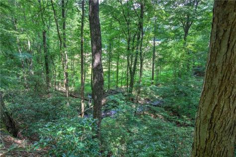 581 Crippled Oak Trail Jasper GA 30143