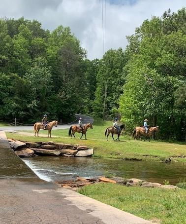 581 Crippled Oak Trail Jasper GA 30143