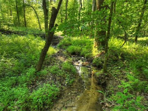 279 Shallow Water Trail Talking Rock GA 30175