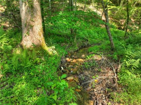 279 Shallow Water Trail Talking Rock GA 30175
