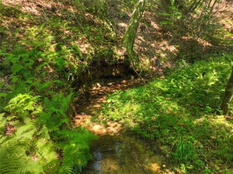 279 Shallow Water Trail Talking Rock GA 30175