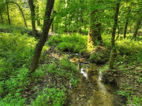 279 Shallow Water Trail Talking Rock GA 30175