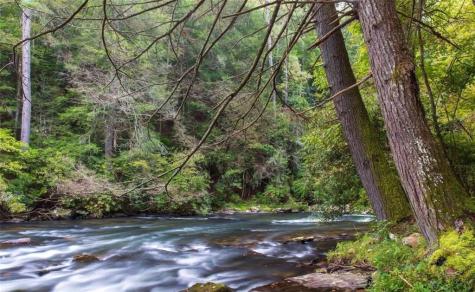 279 Shallow Water Trail Talking Rock GA 30175
