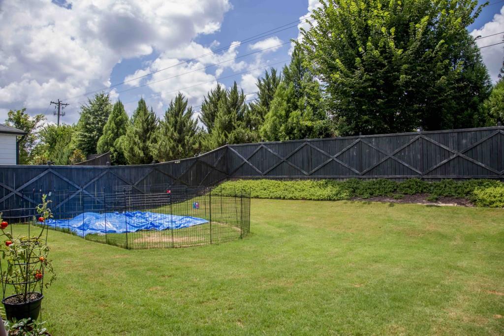 622 Shadow Moss Avenue Canton GA 30115