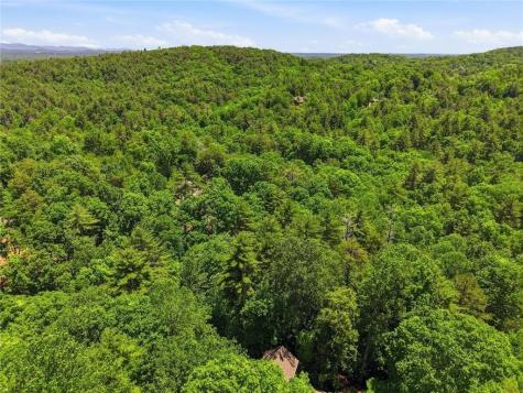 1288 Black Bear Trail Big Canoe GA 30143