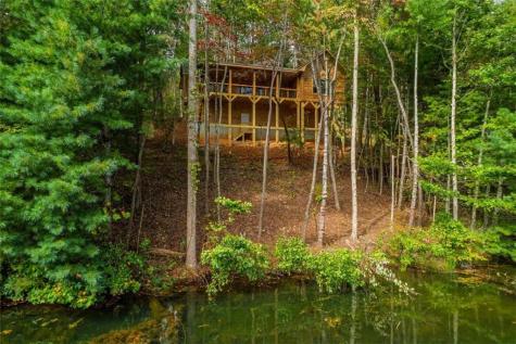 85 Moreland Trail Cherry Log GA 30522