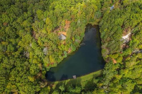 85 Moreland Trail Cherry Log GA 30522