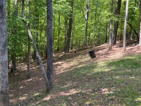 55 Monitor Drive Ellijay GA 30540