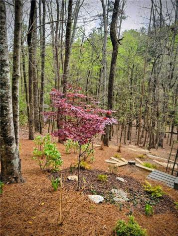 62 Cardinal Cove Jasper GA 30143