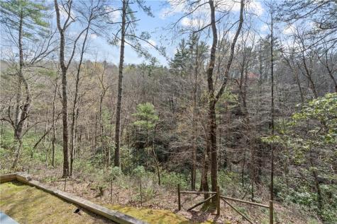 636 Oak Shadow Lane Ellijay GA 30536