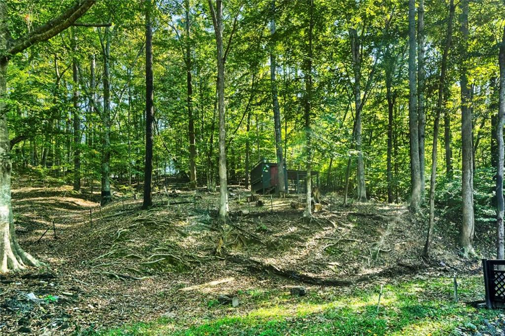 1436 Old Mill Road Ball Ground GA 30107