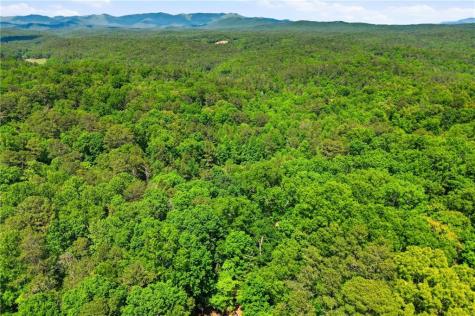 728 Pleasant Gap Road Ellijay GA 30540