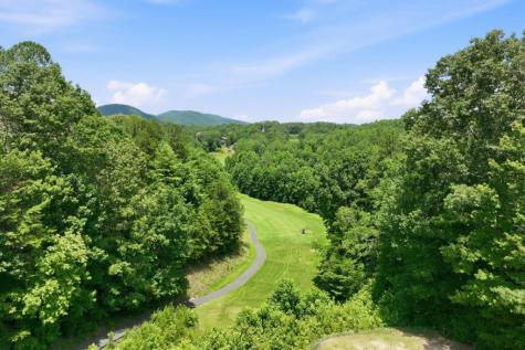84 Schwarzwald Strasse Helen GA 30545