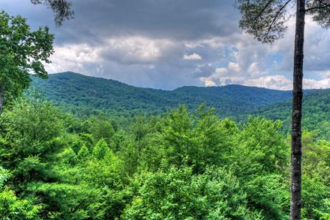 255 Indian Ridge Road Epworth GA 30541