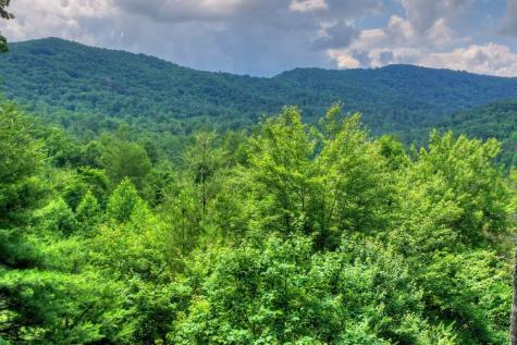 255 Indian Ridge Road Epworth GA 30541